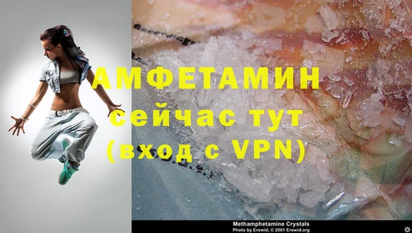 индика Белоозёрский