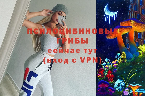 мескалин Богданович