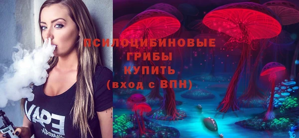 мескалин Богданович