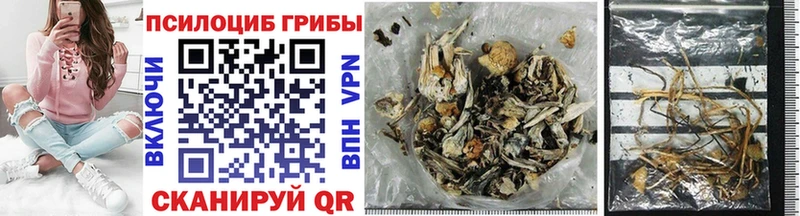 Галлюциногенные грибы MAGIC MUSHROOMS  Малоярославец 